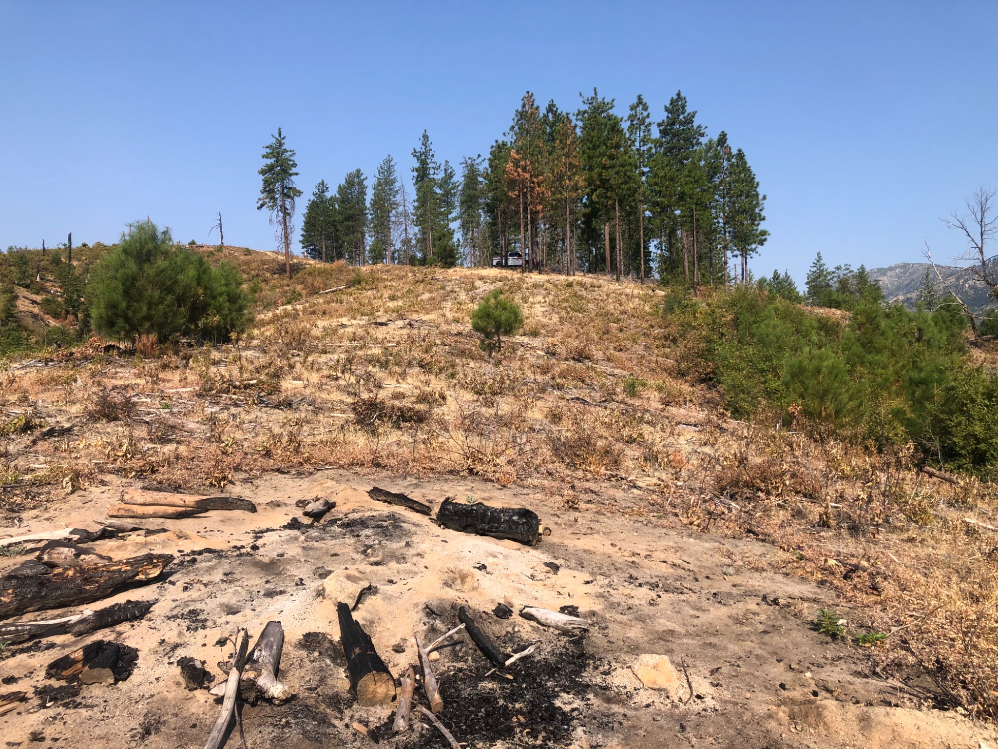 Cleared ridge during the 39-acre Igo post-fire cleanup and hazardous-fuels reduction project.