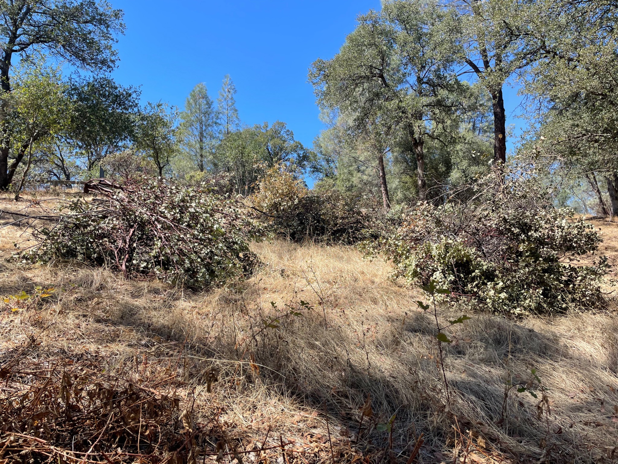 Cut brush consolidated after selective vegetation management and wildfire fuel reduction on Old Alturas Road in East Redding.