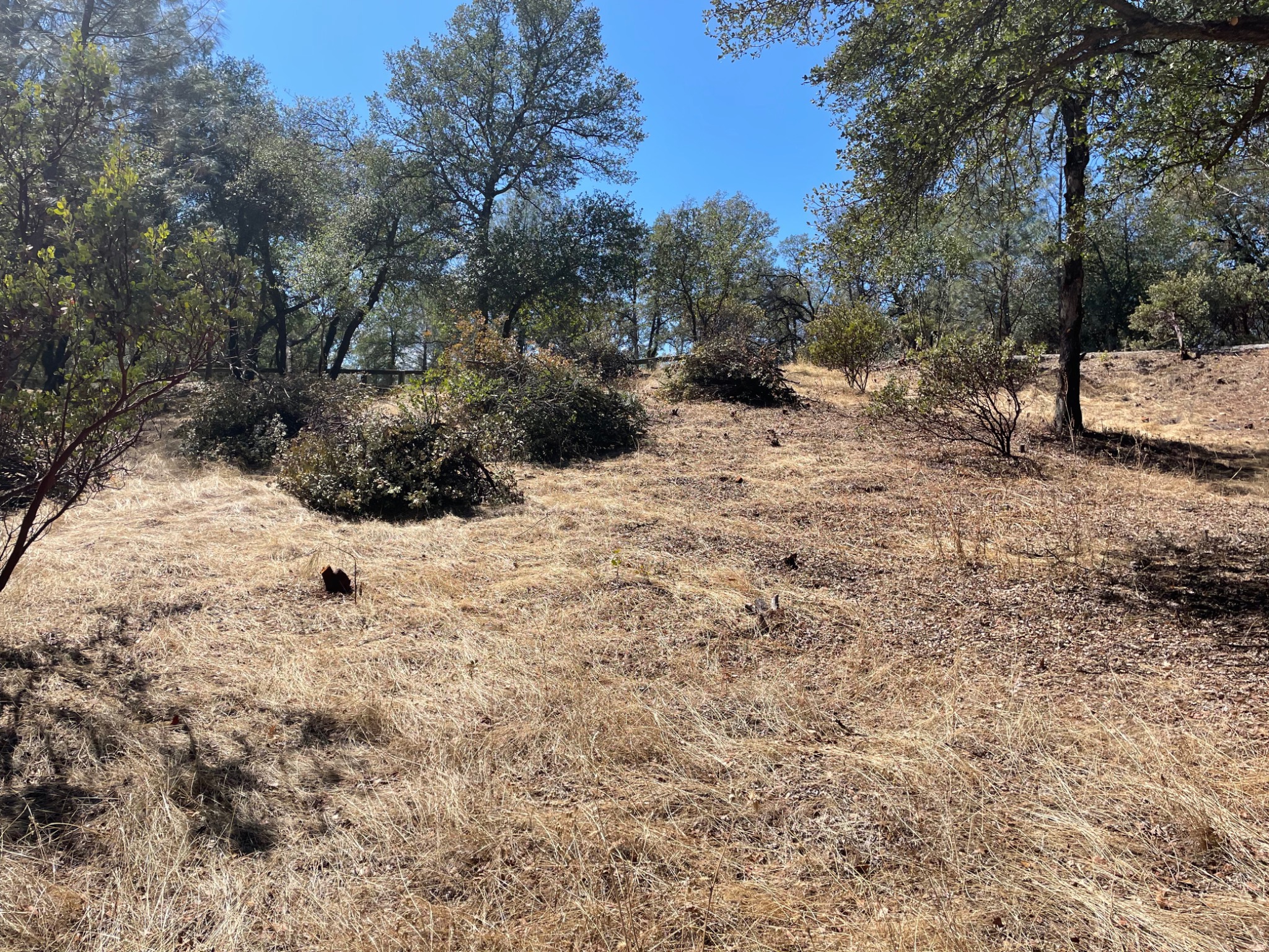 Horizontal and vertical wildfire fuel separation with selected shrubs and trees retained on the Old Alturas Road property in East Redding.